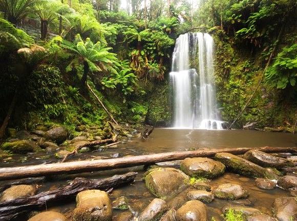 The Cascade Charm of Erskine Falls in the Otways