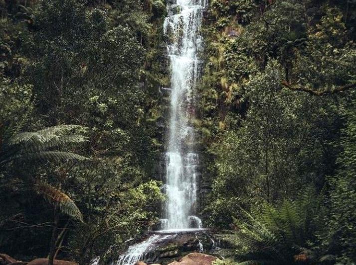 Discovering the Natural Beauty of Erskine Falls