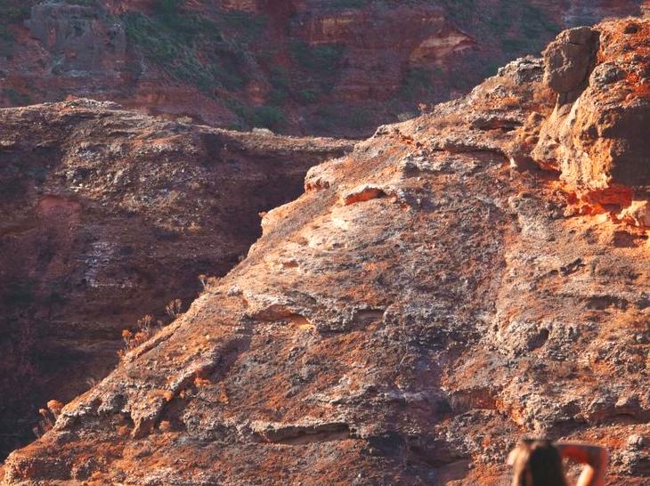 Hike amidst the stunning scenery of Charles Knife Canyon.