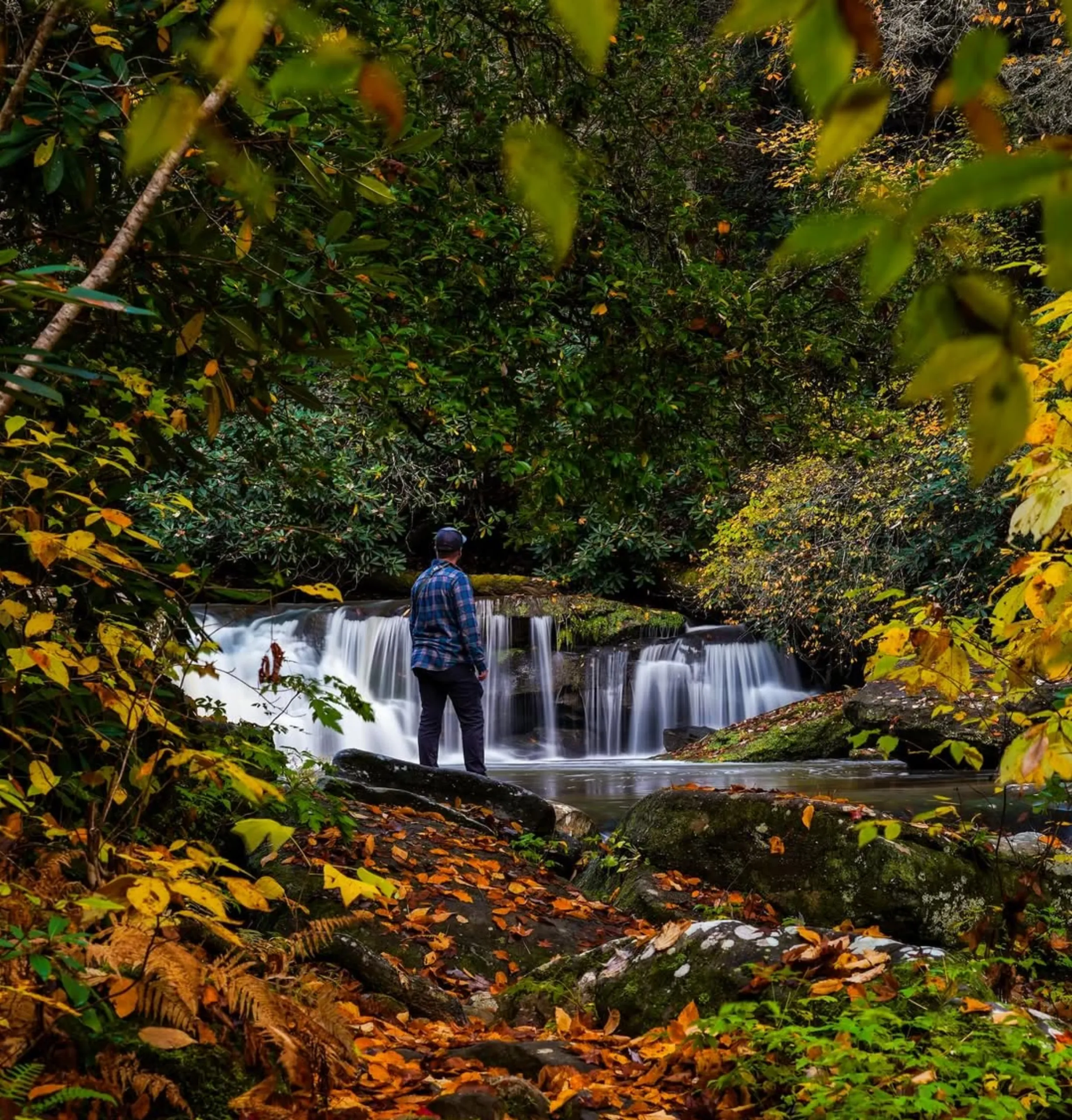 Cumberland Falls, Yarra Valley