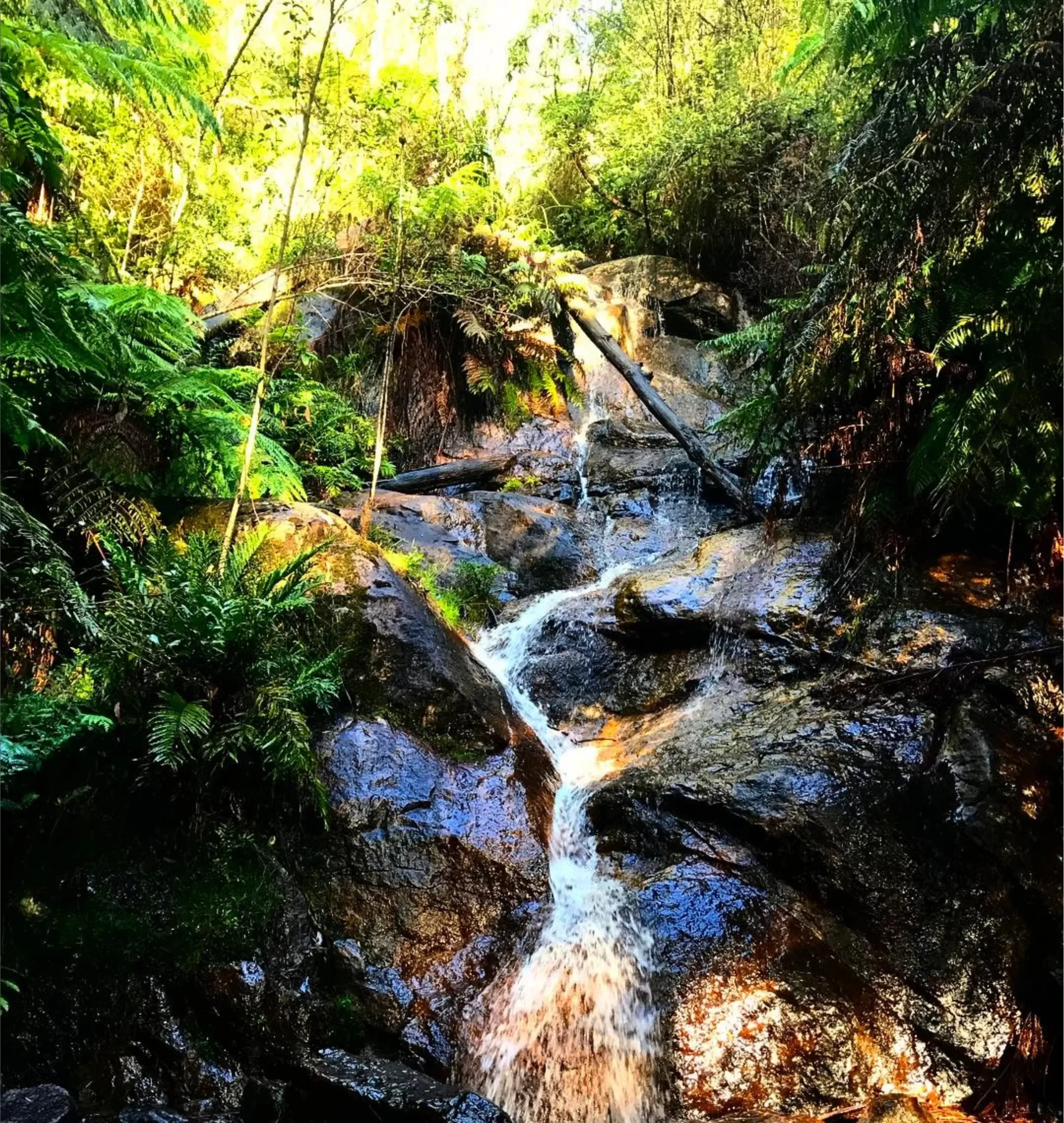 La La Falls, Yarra Valley