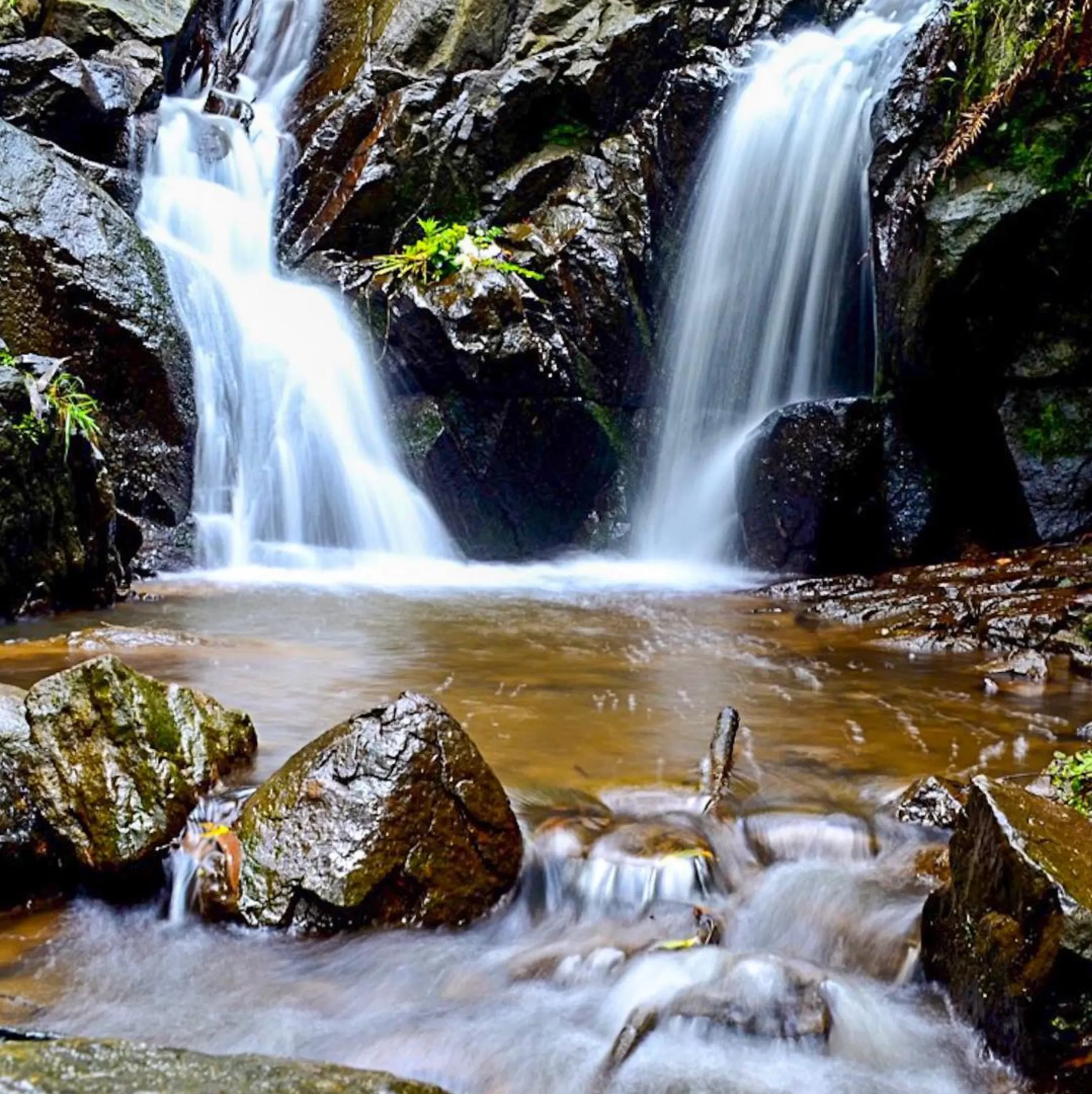 Olinda Falls, Yarra Valley