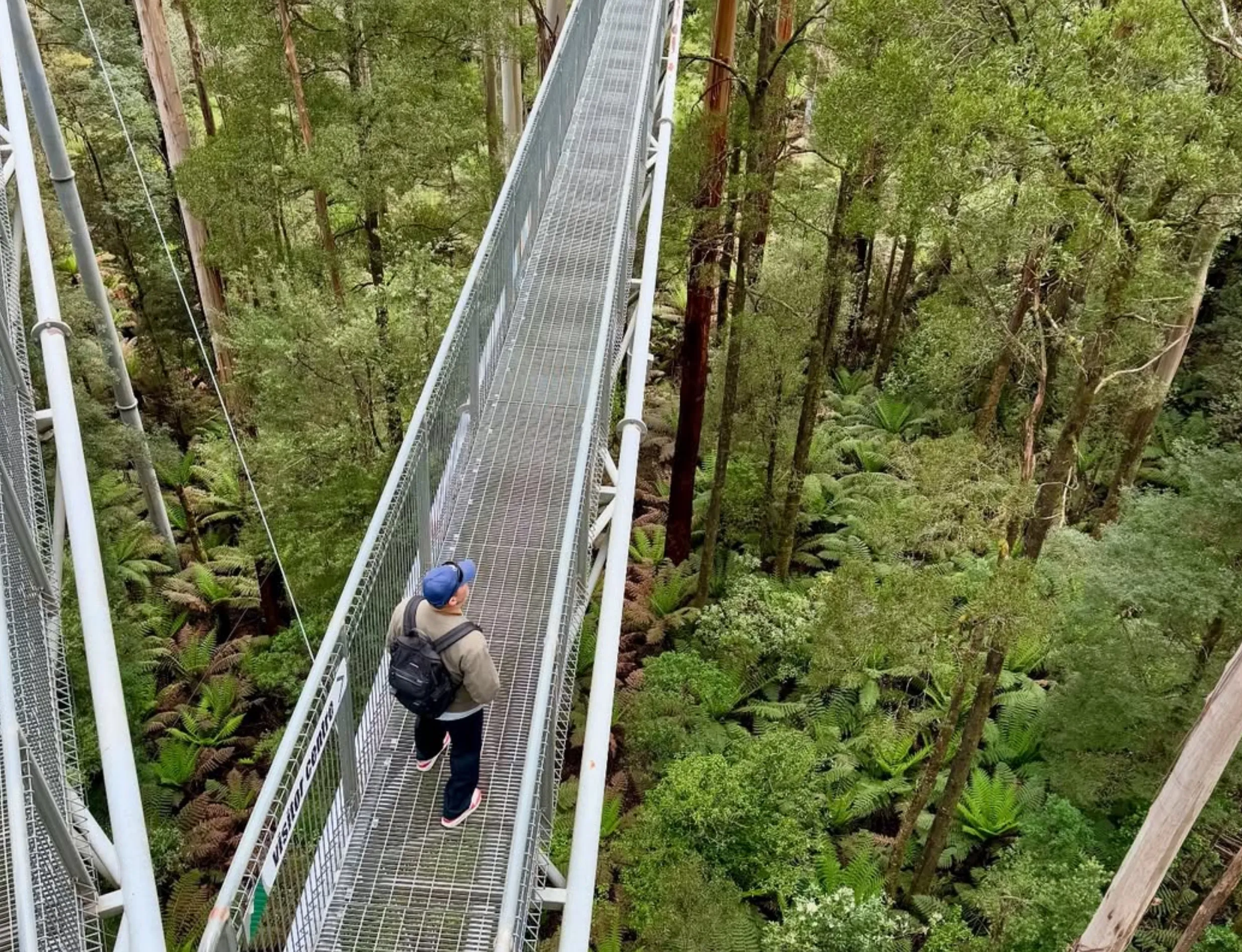 Great Ocean Road tours from Melbourne