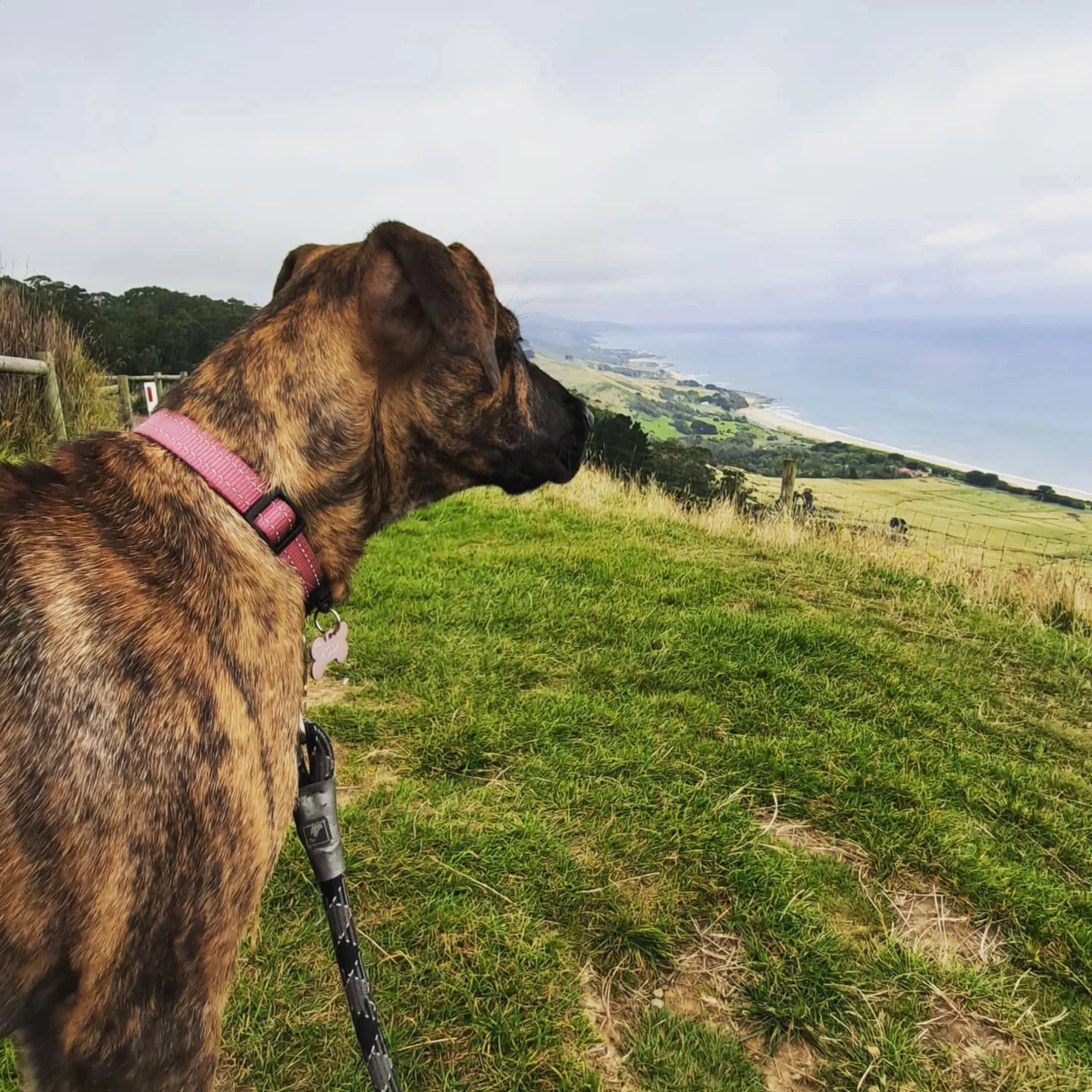 Panoramic Views, Marriners Lookout