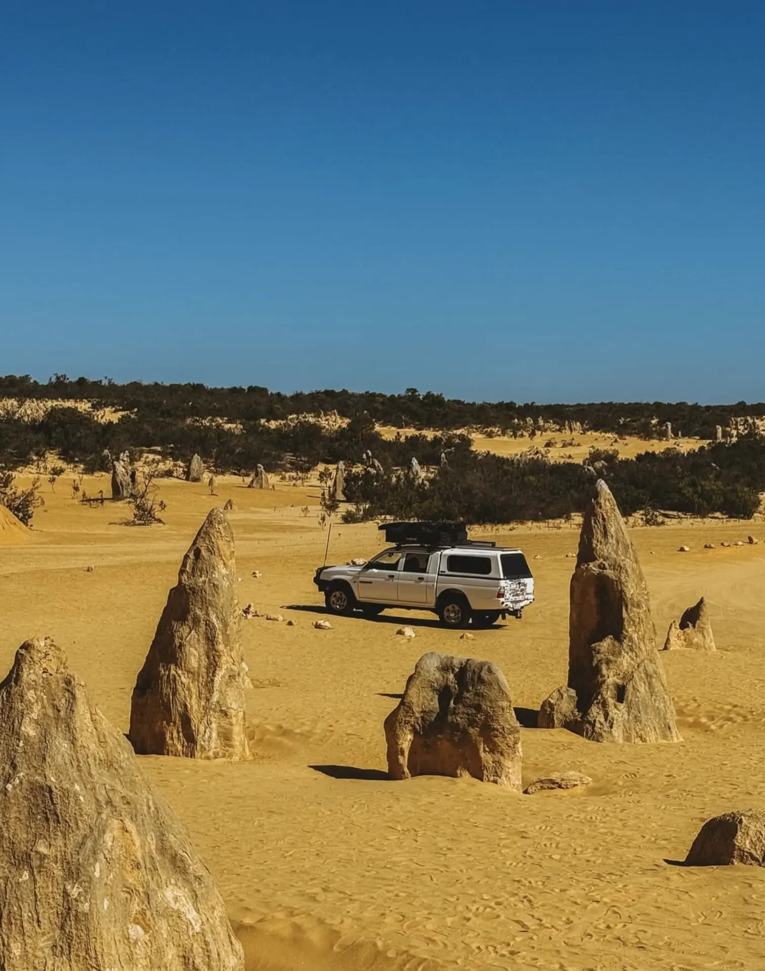 Pinnacles Desert Tourism