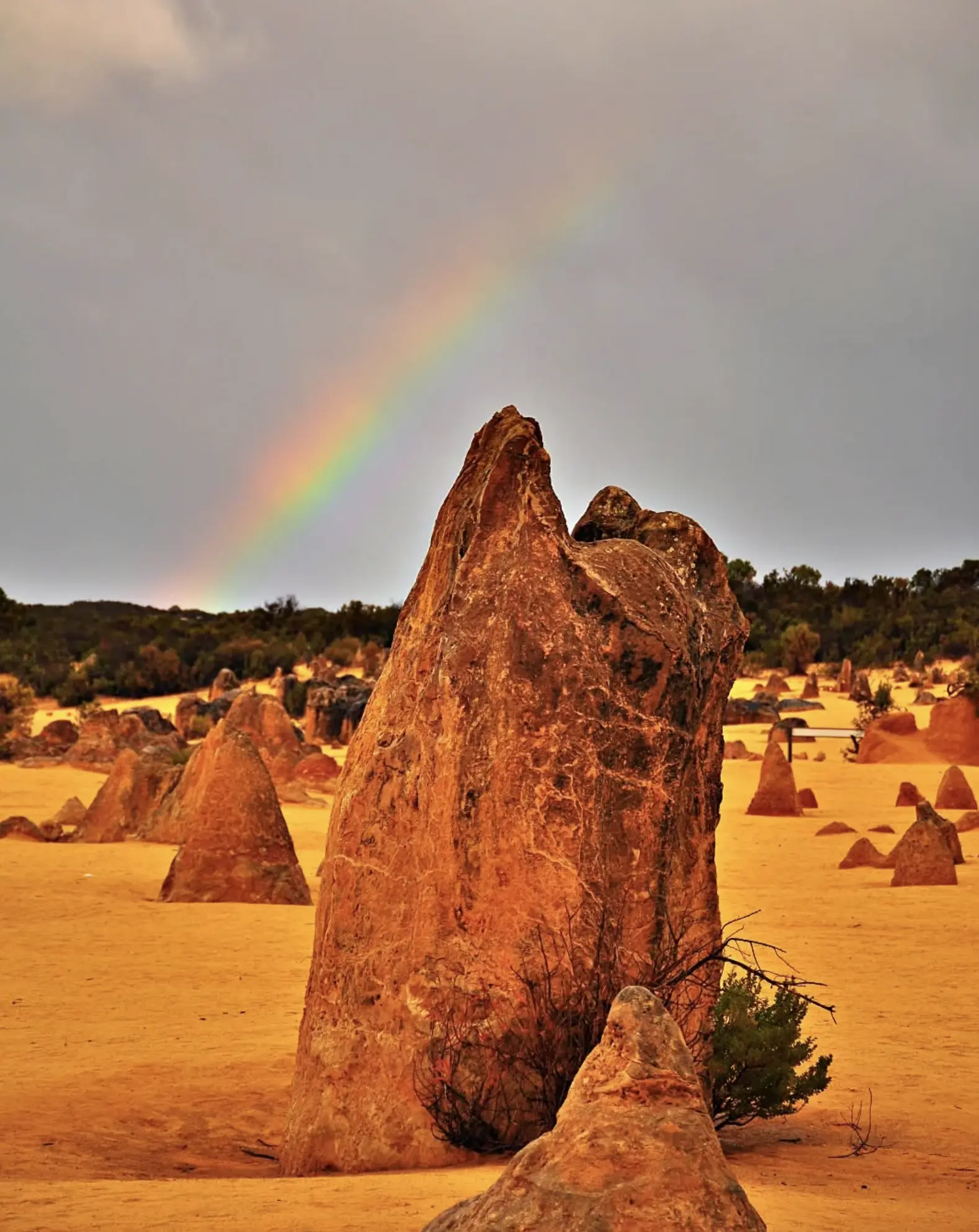 The Pinnacles WA