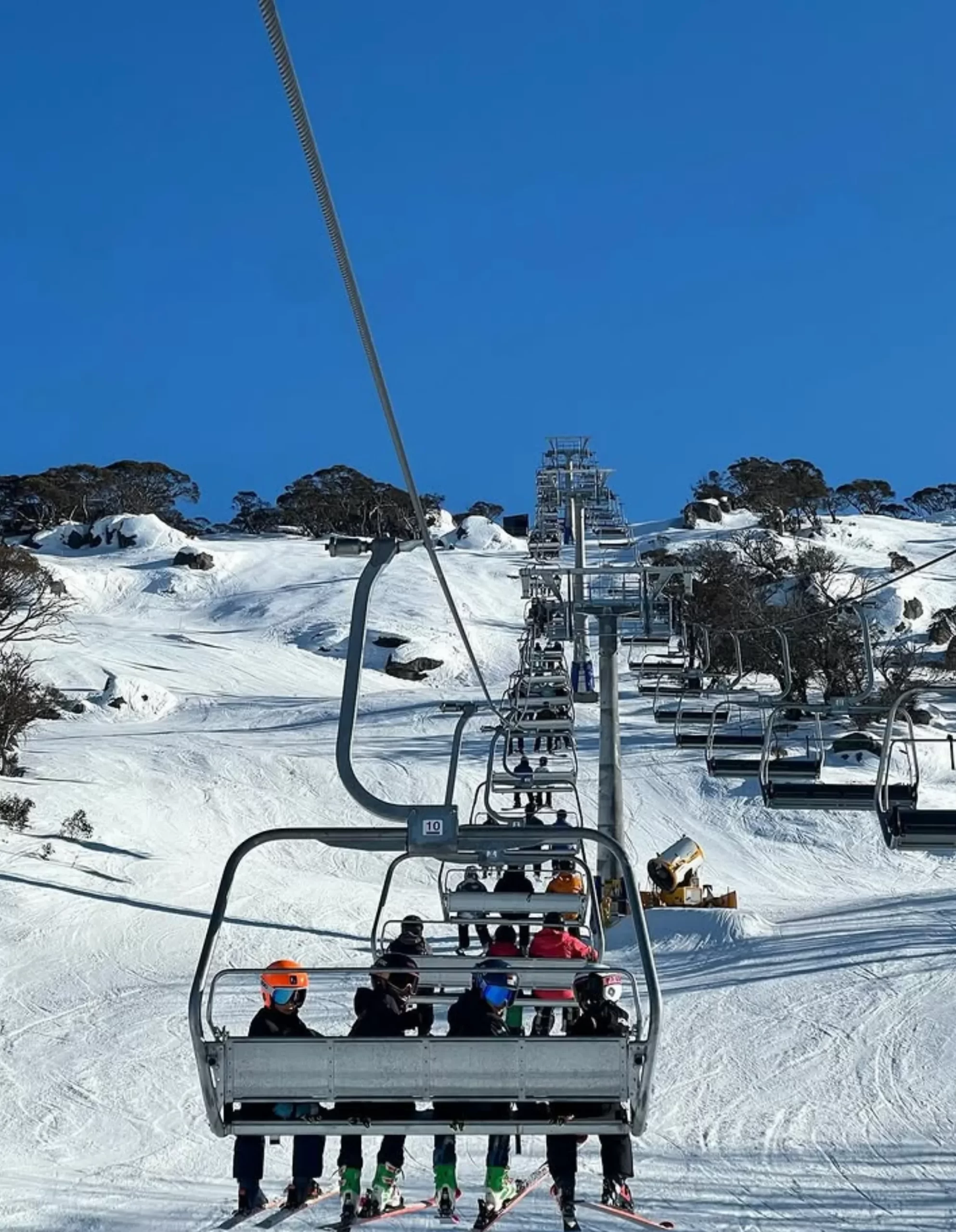 Mountain Skis