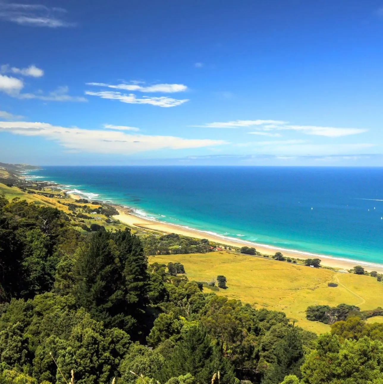 Surf Conditions and Seasonal Swings