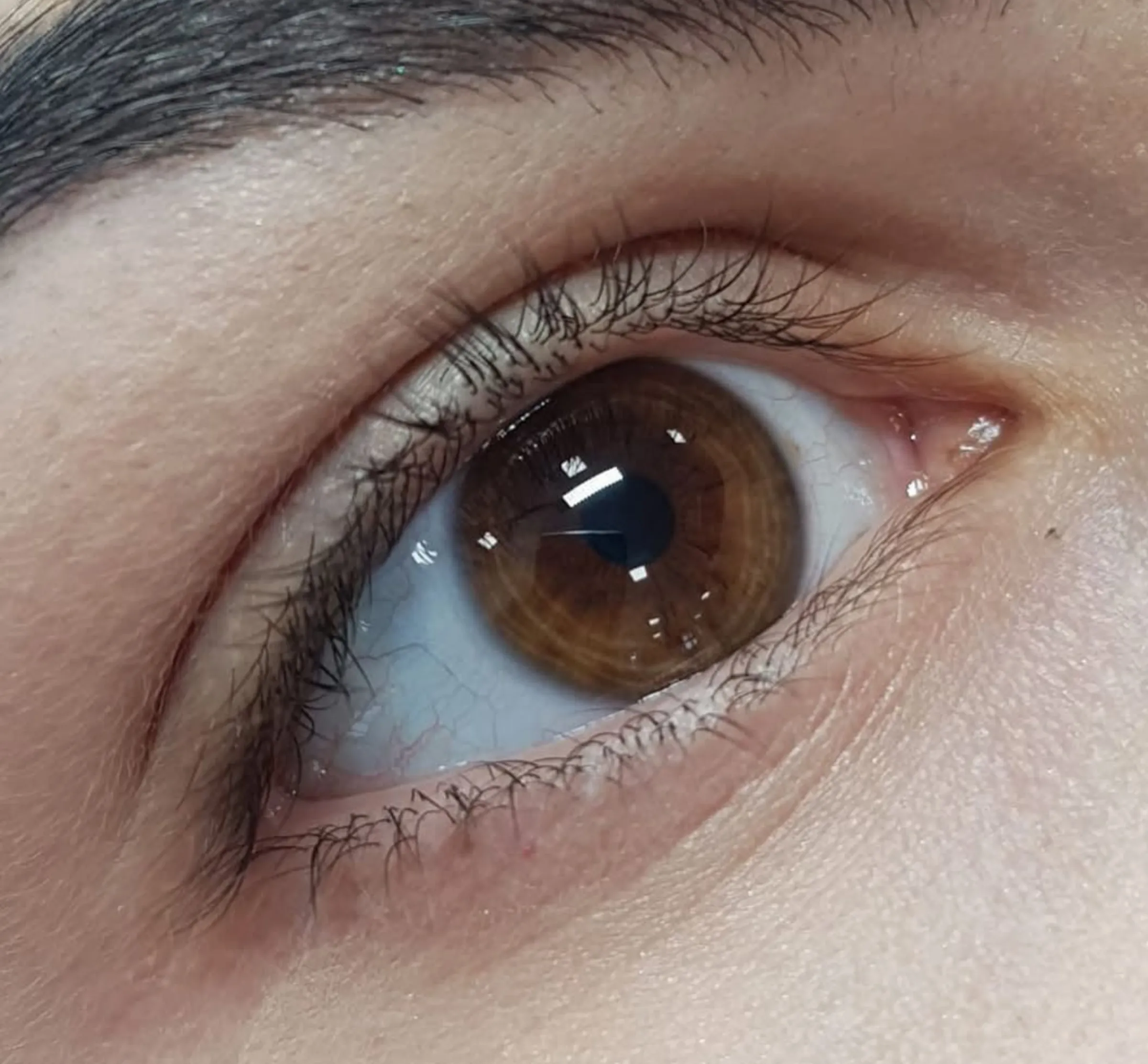 difference between eyeliner and lash tattoo